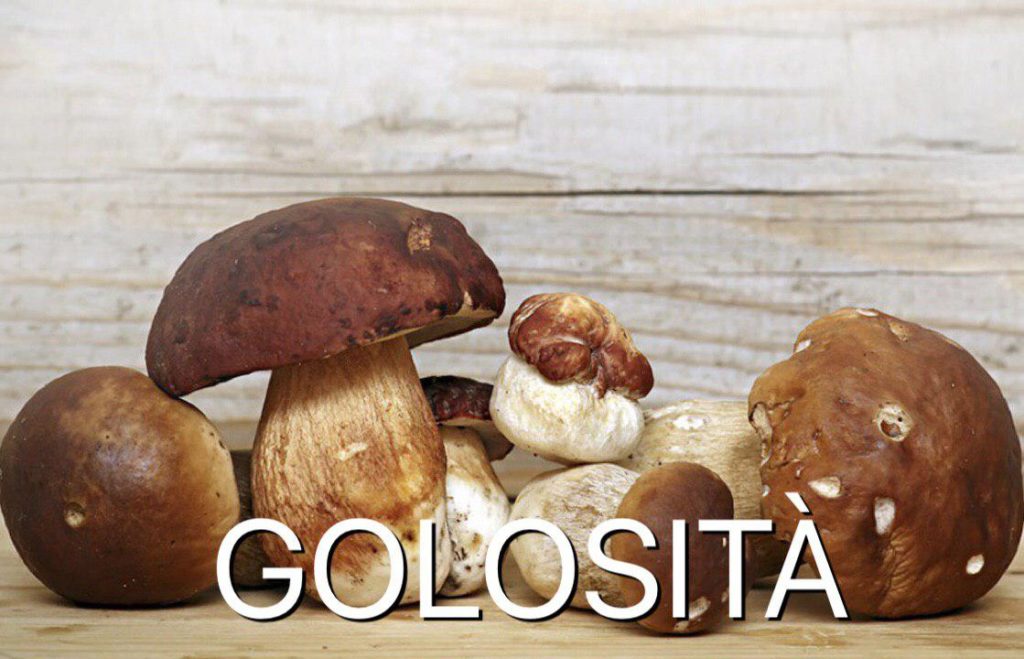 cucina_tipica_emiliana